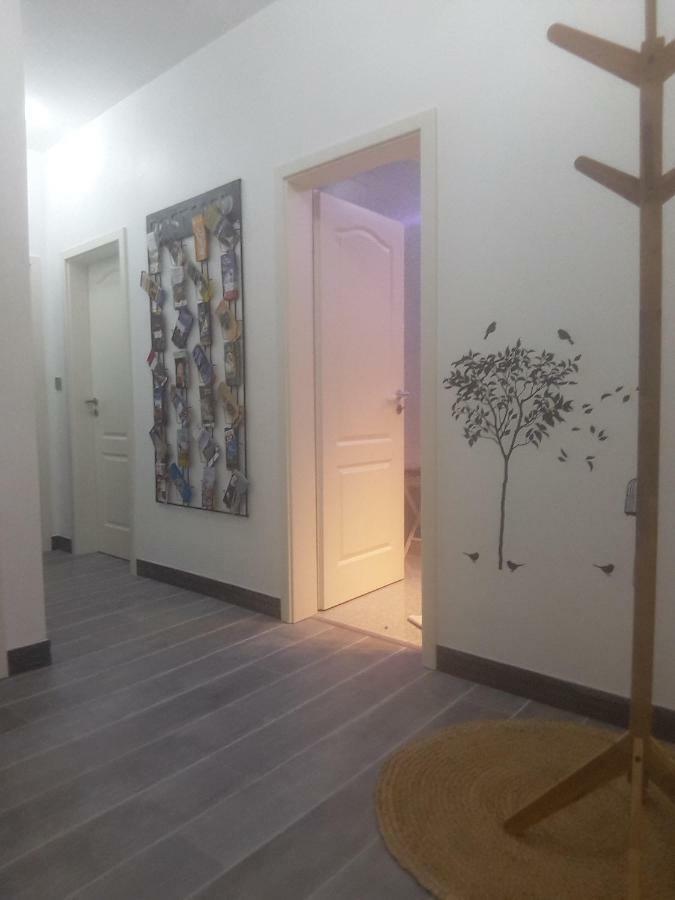 Appartement Chez Moera -Sur la Route Des Vins - Kaysersberg Extérieur photo